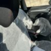Mg ZS 1.5T -GDI Comfort Pronta lo Consegna - Image 15